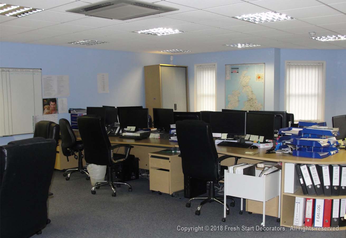 Residential and commercial painters decorate office